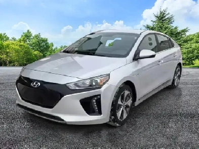 2019 HYUNDAI Ioniq Electric Hatchback | Electric | NAVI | Camera