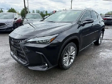 2023 Lexus NX 350h Luxury