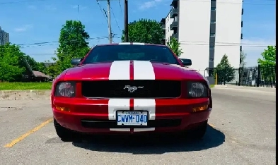 2009 Ford Mustang  – Exceptional Condition