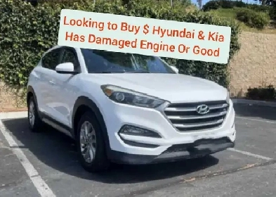 Buying : Hyundai and Kia ( has damaged engine )