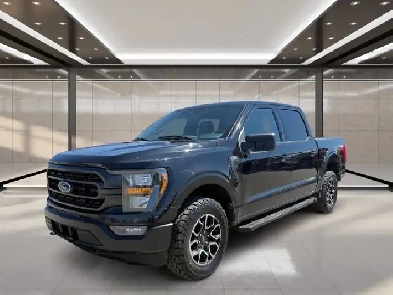 2023 Ford F-150 XLT 4WD SuperCrew 5.5' Box