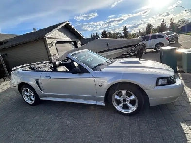 2004 Ford Mustang GT Convertible 40th Anniversary Edition V8 4.6
