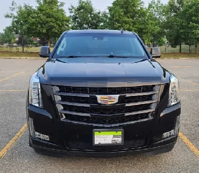 2015 Cadillac Escalade For Sale