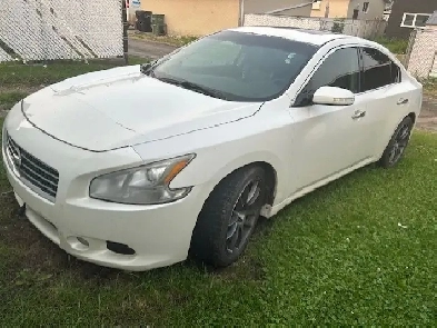 2009 Nissan Maxima For Sale