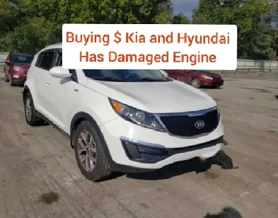 Buying : Kia and Hyundai (has  damaged engine )