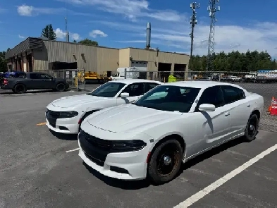 2019 Dodge Charger V8 AWD Pursuit