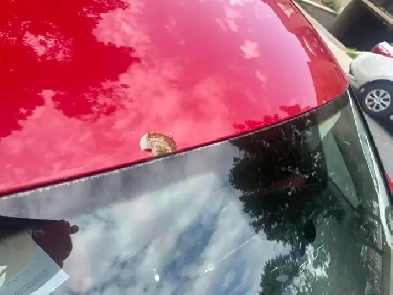 Volswagen Jetta 2015
