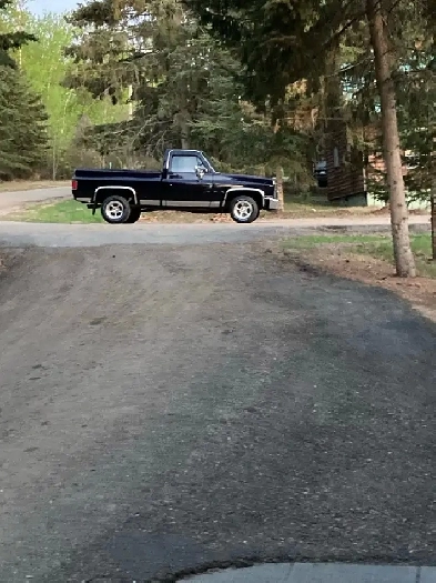 81 Shortbox Chevy