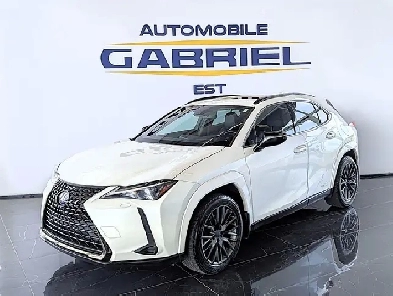 2021 Lexus UX 250h