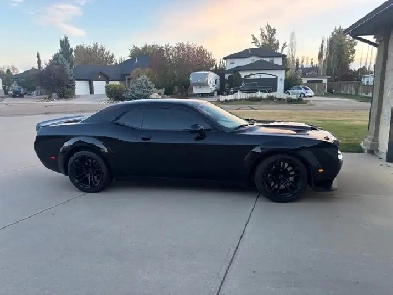 Dodge Challenger Wide Body Scat Pack Last Call Edition