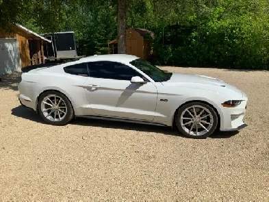 2019 Mustang gt for sale