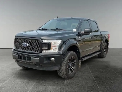 2024 Ford F-150 XLT / 4WD