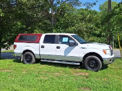 2010 ford f150