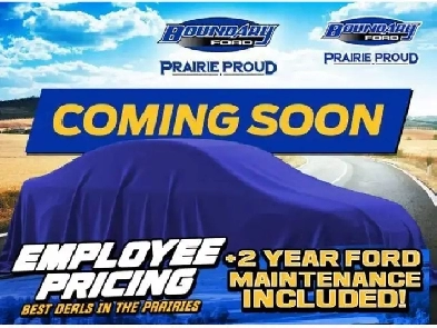 2026 Ford Transit Passenger Wagon
