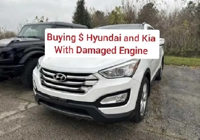 Buying : Hyundai and Kia ( has damaged engine )