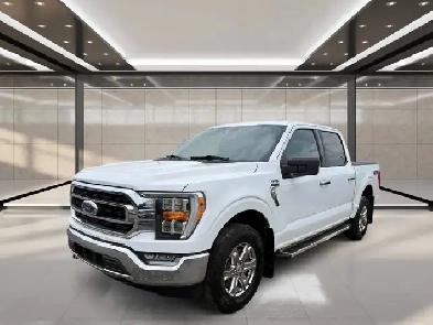 2023 Ford F-150 XLT 4WD SuperCrew 5.5' Box
