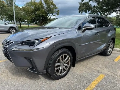 2018 Lexus NX NX 300