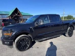 2024 FORD F-150 XLT - CREW CAB - 3.5L - 6.5' BOX - 62KM