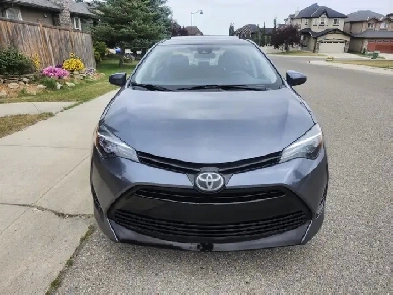 2019 Tayota Corolla