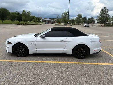 2021 Ford Mustang GT Premium