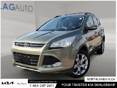 2013 Ford Escape SEL