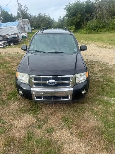 2011 Ford Escape Limited