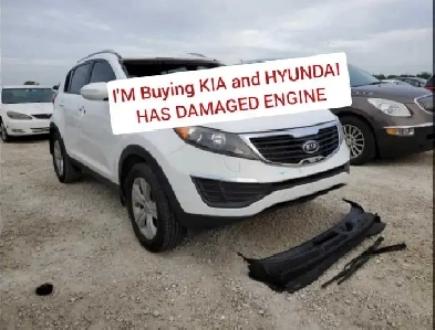 Buying $ Kia and Hyundai / has blown engine
