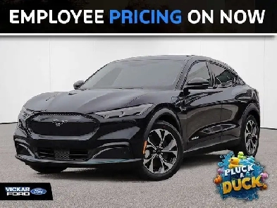 2026 Ford Mustang Mach-e Select