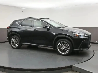 2025 Lexus NX PREMIUM HYBRID AWD LEATHER | HEATED SEATS | SUNROO