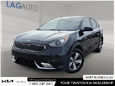 2019 Kia Niro L