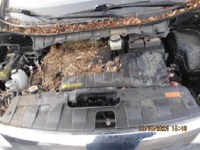 2012 Nissan Quest BASE