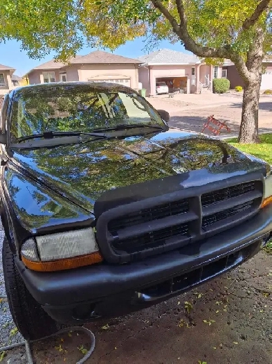 2004 Dodge Dakota 4x4 Quad Cab