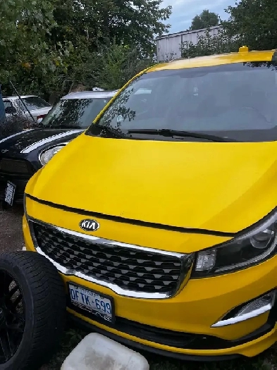 2019 Kia Sedona
