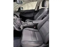 Lexus NX 300 Premium 2020