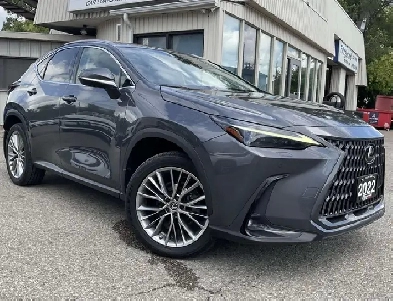 2022 Lexus NX 350h Ultra Luxury - LEATHER! 360 CAM! BSM! PANO RO