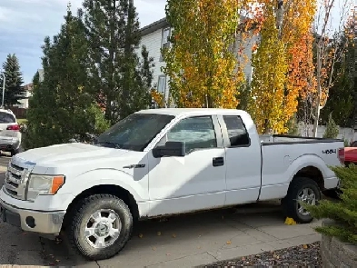 2009 Ford F150