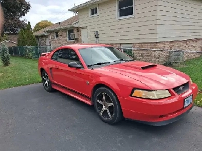 2004 FORD MUSTANG RUNS NEEDS SOME WORK