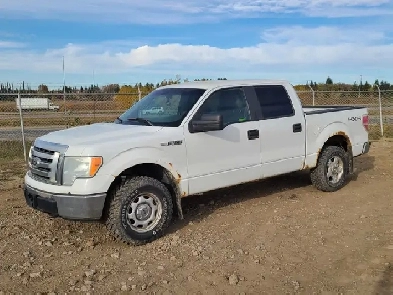 2010 Ford F150