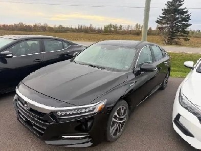 2019 Honda Accord