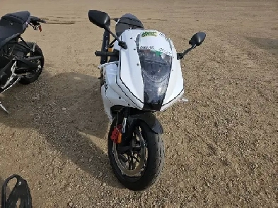 2024 Buell Hammerhead