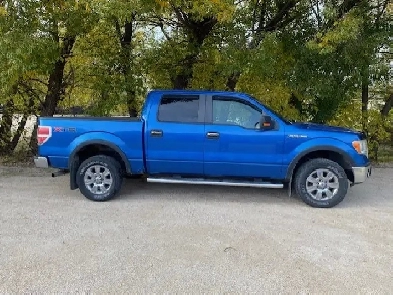 2010 F150