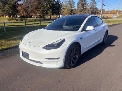 2023 Tesla Model 3 RWD